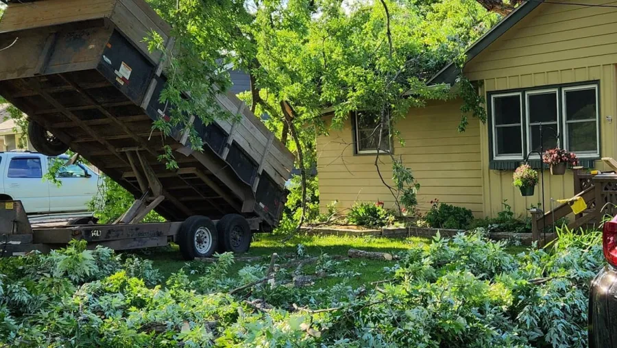 tree trim pruning des moines ia tree trim pruning des moines ia