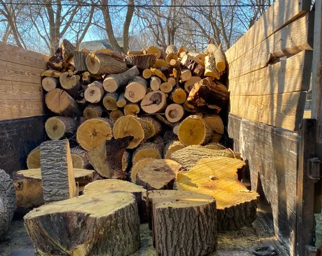 stump grind tree removal des moines ia