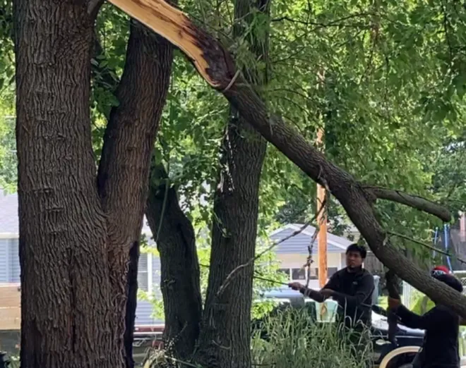 tree removal emergency des moines ia